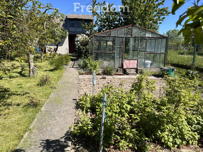 Ogródek działkowy przy ul. Królewieckiej w Elblągu