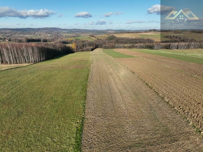 Działka rolno-budowlana Ołpiny gm. Szerzyny
