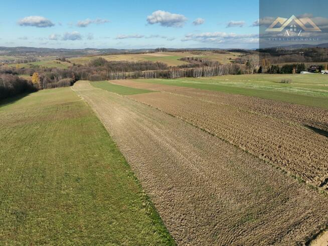 Działka rolno-budowlana Ołpiny gm. Szerzyny