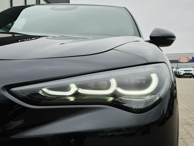 Alfa Romeo Stelvio Quadrifoglio 2.9 V6 520KM AT Q4 Salon PL Serwis ASO