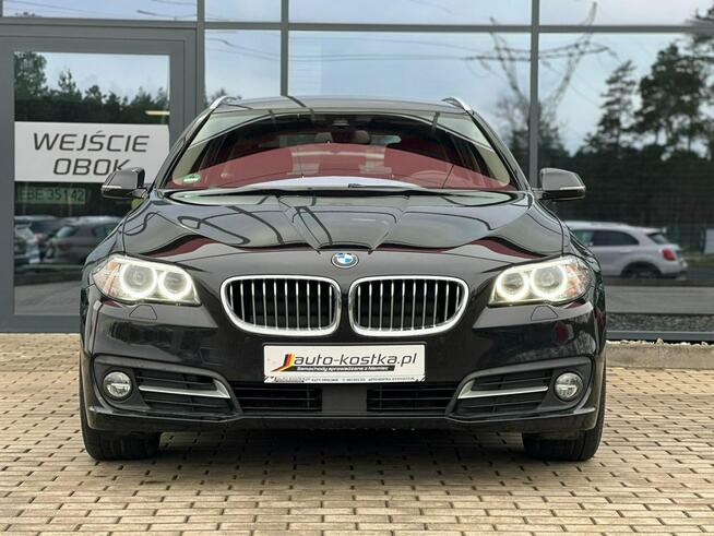 BMW 525 Bixenon LED El.klapa Skóra Asystent Czujniki Navi Hak Serwis GWARANCJA