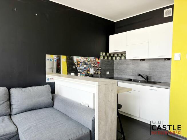 Mieszkanie Poznań gm. Poznań-Stare Miasto Naramowice, Karpia