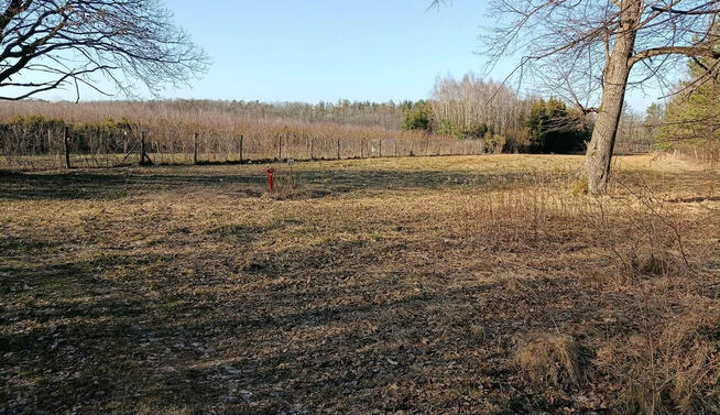 Działka budowlano-rolna 90 ar, Krzywe.