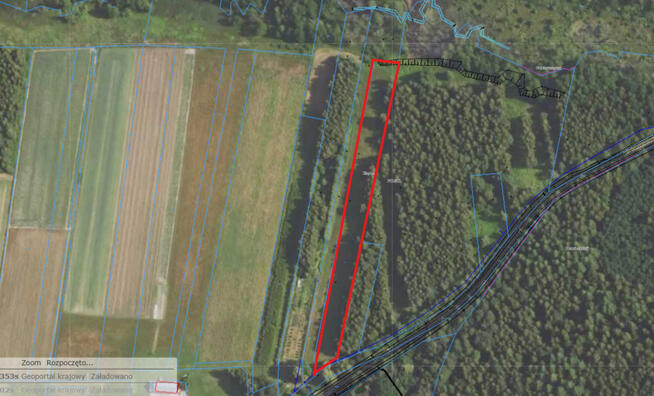 Działka budowlano-rolna 90 ar, Krzywe.