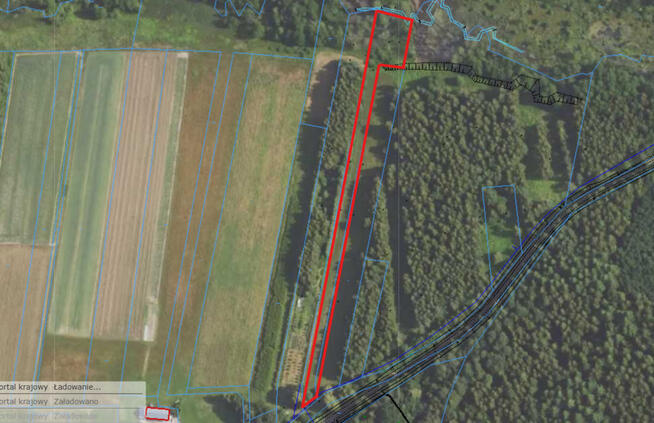 Działka budowlano-rolna 90 ar, Krzywe.