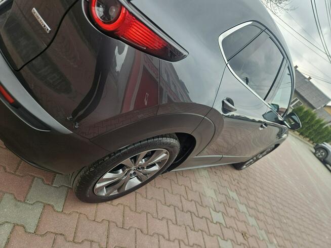 Mazda CX-30 Radar, Bliss, Kamera ,Hedup,El.Klapa, As. Park. GWARANCJA