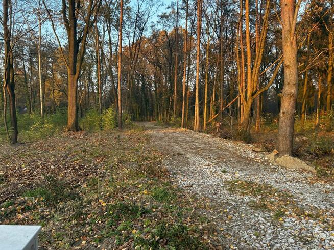 Blisko lasu, Podkowa Leśna, 30% pow zabudowy