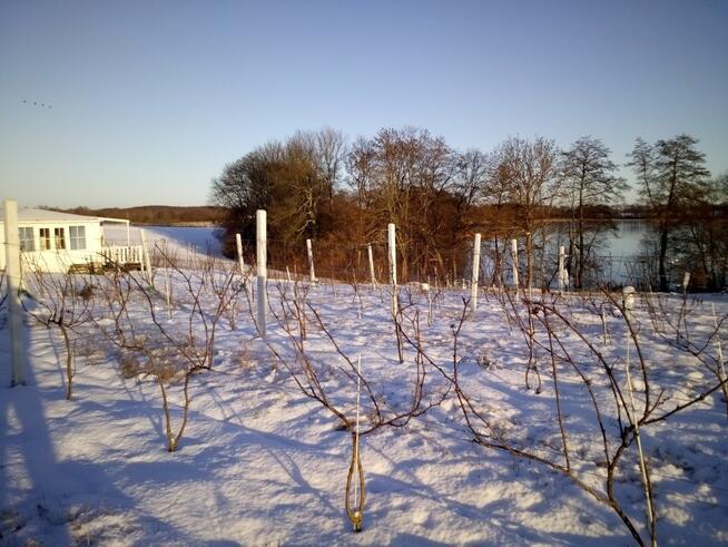 Działka z WZ, linią brzegową jeziora i winnicą