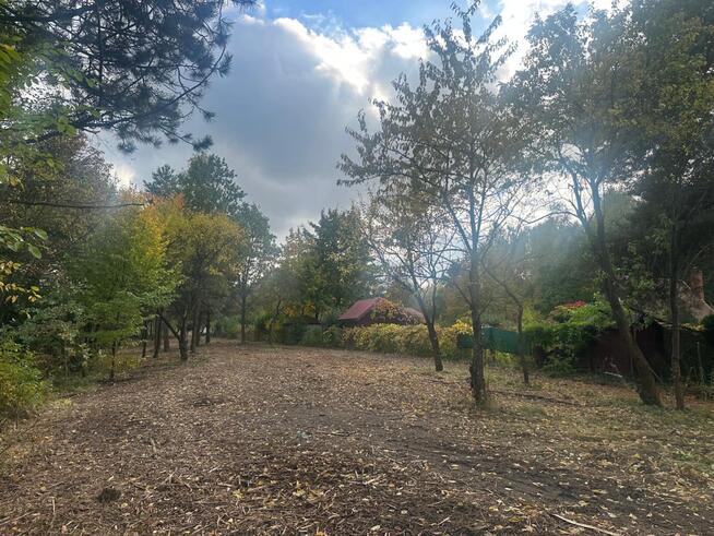 Radachówka nad rzeką Świder 30min z W-wy trasą S17