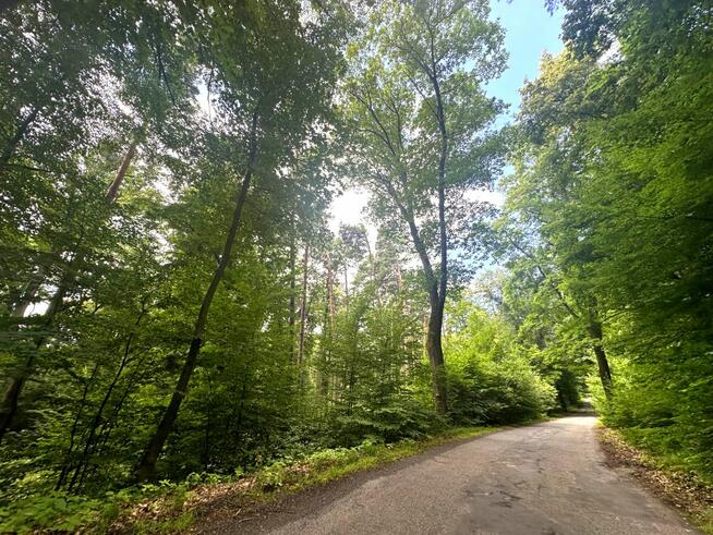 Działka inwestycyjna Biały Kościół gm. Strzelin,