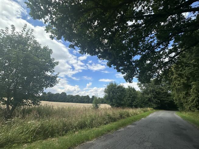 Działka inwestycyjna Biały Kościół gm. Strzelin,