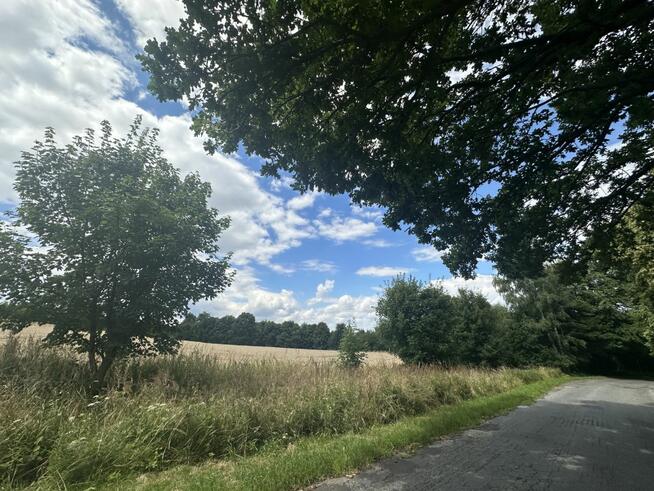 Działka inwestycyjna Biały Kościół gm. Strzelin,