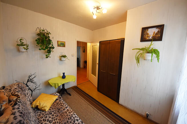 Sprzedaż rozkładowego mieszkania 3 pok.Opole,ZWM