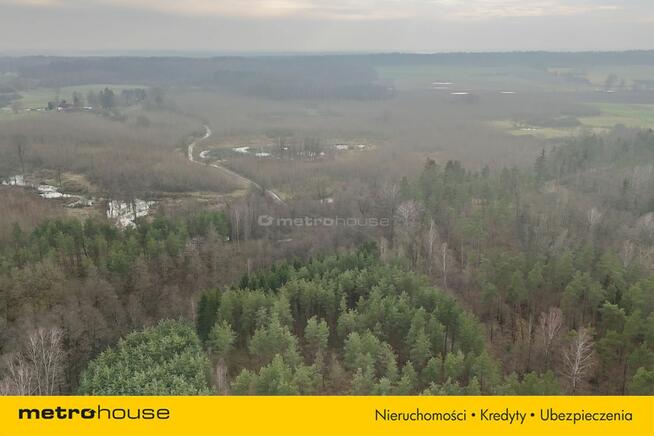 Działka leśna w otoczeniu parku krajobrazowego