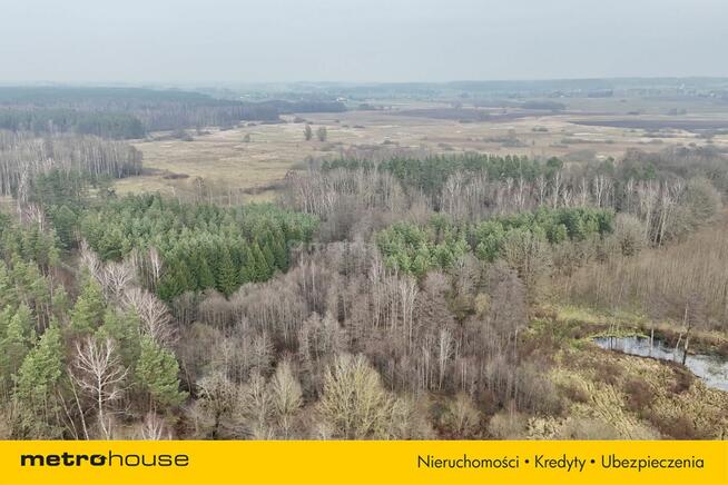 Działka leśna w otoczeniu parku krajobrazowego