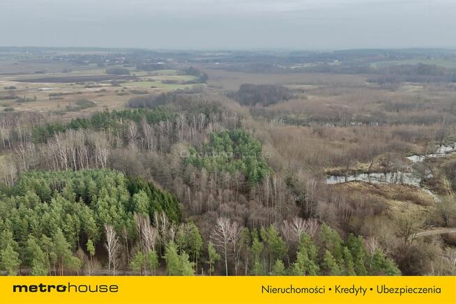 Działka leśna w otoczeniu parku krajobrazowego