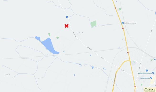 Działka leśna Łuków Zimna Woda