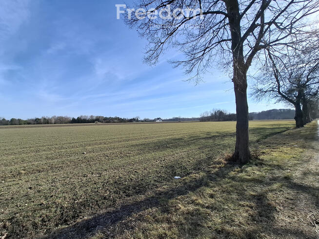 Twoja wizja, nasz fundament. Stan surowy z 2025r