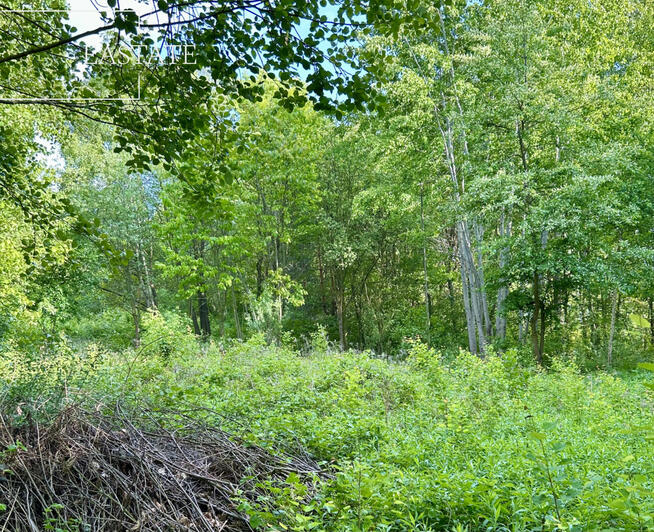 Działka budowlana Góra Kalwaria Marianki, Walewicka