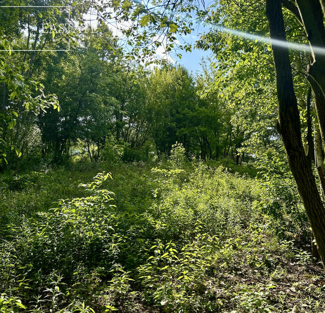 Działka budowlana Góra Kalwaria Marianki, Walewicka