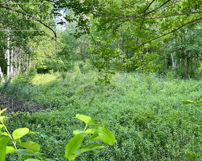 Działka budowlana Góra Kalwaria Marianki, Walewicka