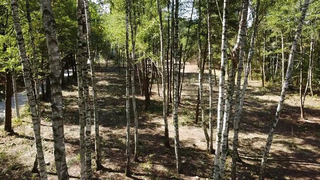 Działka budowlana Żanęcin gm. Wiązowna, Gościniec