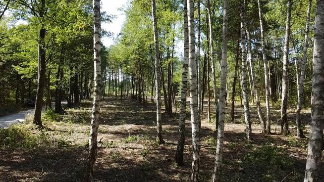 Działka budowlana Żanęcin gm. Wiązowna, Gościniec