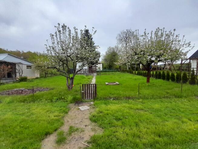 Działka rekreacyjna ROD Narcyz Kielce