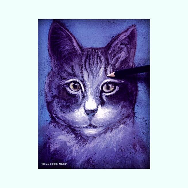 Pomoc domowa, sprzątanie.