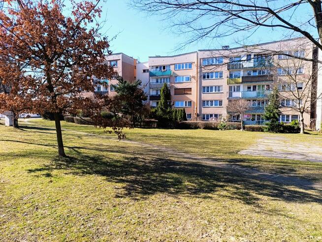 Mieszkanie - Tychy Morcinka - świetna lokalizacja, 36,6m2