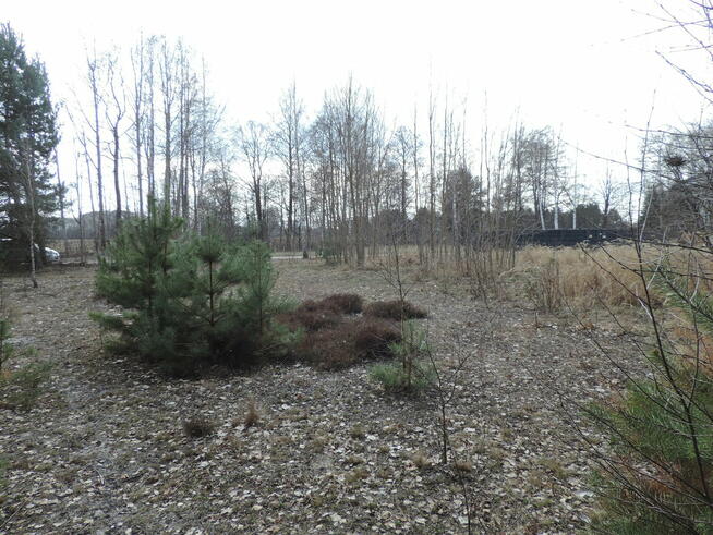 Żyrardów okolice - działka budowlana