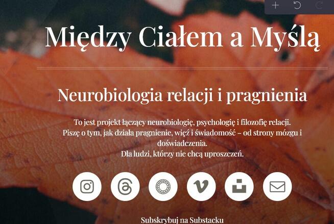 e-book: AI i świadomość: Sztuczna Inteligencja i Świadomość