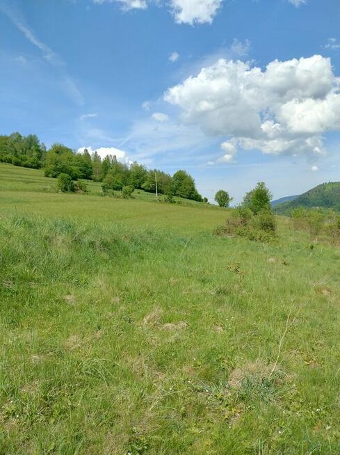Działka z widokiem Świnna
