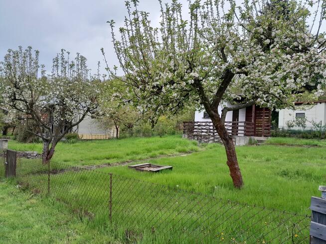 Działka rekreacyjna ROD Narcyz Kielce