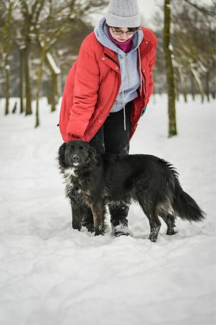 Miki-młody a już poznał smak bezdomności-czeka na dom