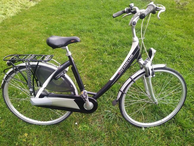 Rower damka Infineum 28 Alu Nexus