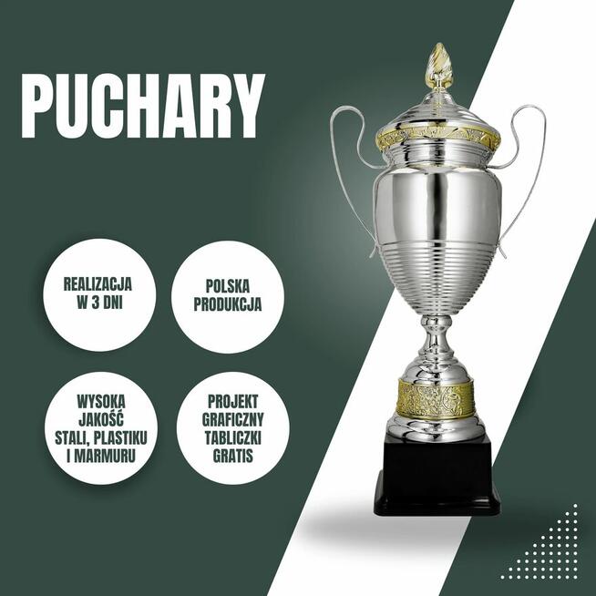 PucharyiStatuetki.PL - puchary sportowe