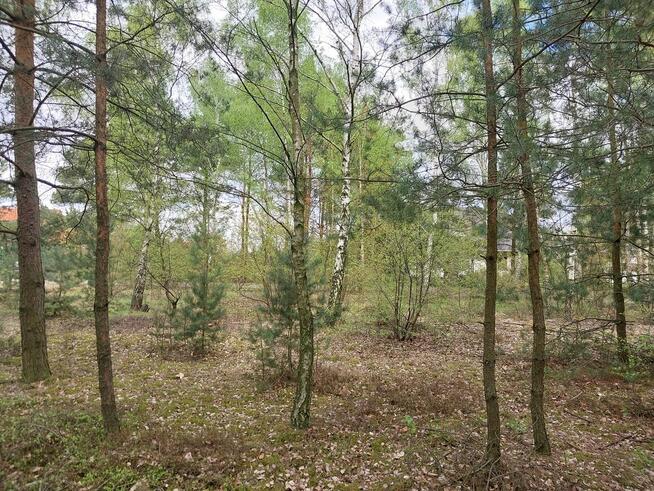 Działka budowlana na sprzedaż w Ostrzeszowie