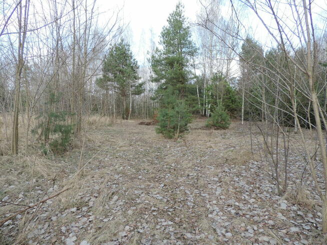 Żyrardów okolice - działka budowlana