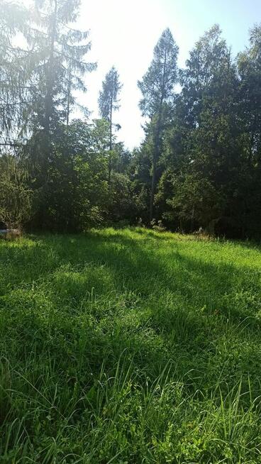 Sprzedam działkę w Rudnikach gmina Włodowice