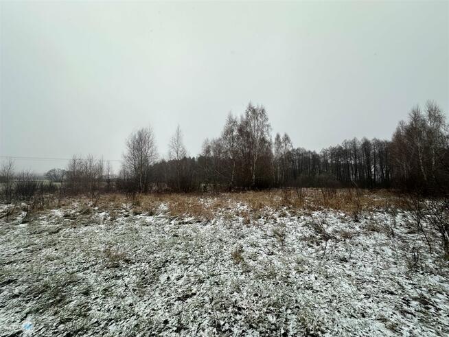 Działka rolna Śladków Duży Śladków Duży