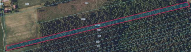 Działka w Łozowie siedliskowa z zabudową, las