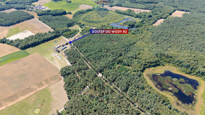 Duża działka z lasem i oczkiem wodnym