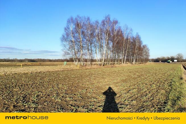 Działka 40 arów Zasole, gm. Brzeszcze