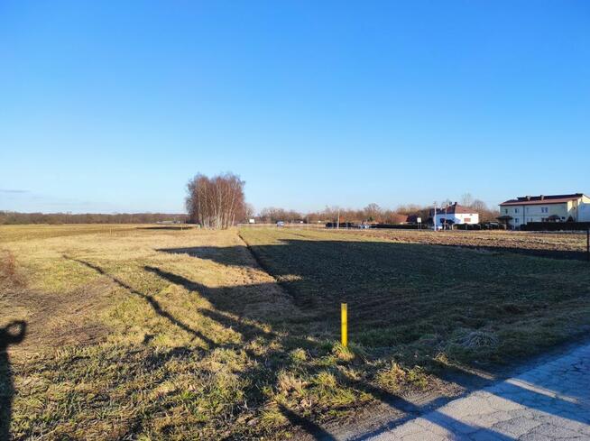 Działka 40 arów Zasole, gm. Brzeszcze