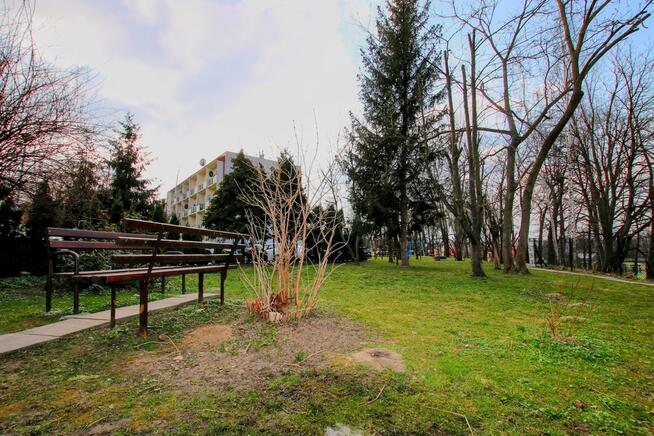 ścisłe centrum, drugie piętro, wolne od zaraz