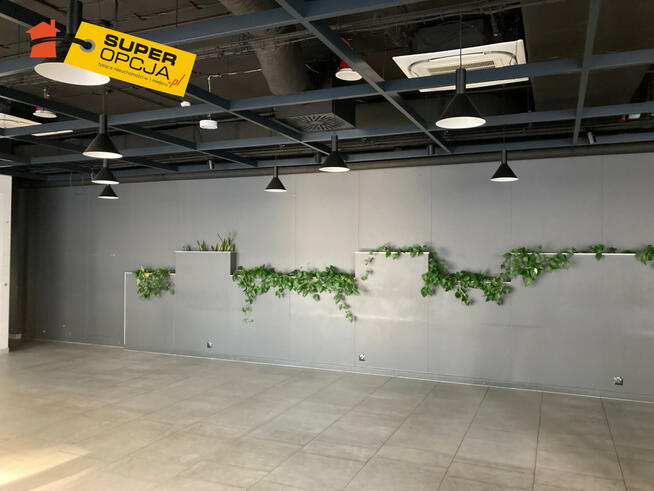 Lokal użytkowy Kraków gm. Kraków-Śródmieście Prądnik Czerwony,