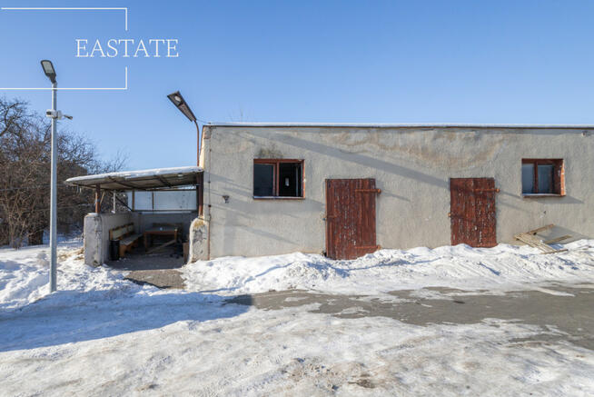 Lokal użytkowy Pruszcz Gdański, Marii Konopnickiej