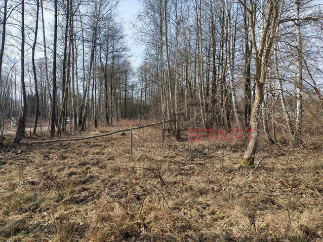 Działka budowlana Czarny Las gm. Grodzisk Mazowiecki,