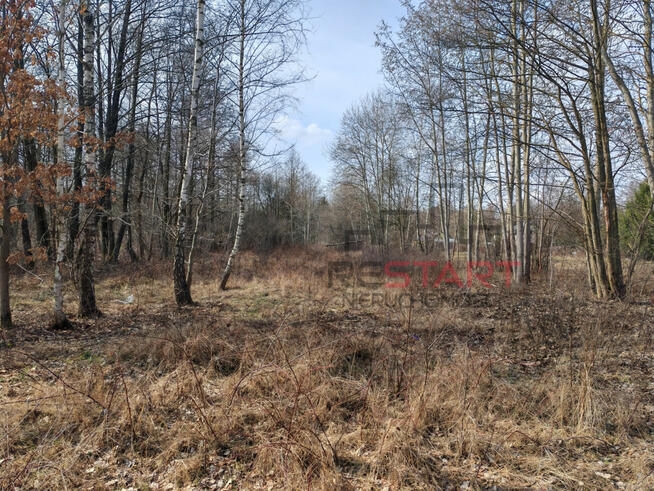 Działka budowlana Czarny Las gm. Grodzisk Mazowiecki,